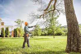 Best Commercial Tree Services  in Llano Grande, TX